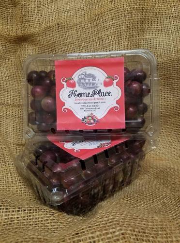 21078282_1429515463763644_2230106085570564170_n