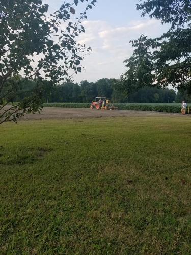 21463224_1445424455506078_6557858178684195248_n