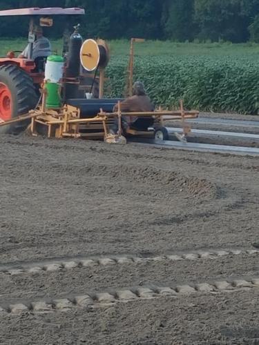 21740417_1445424518839405_2384504592646325433_n