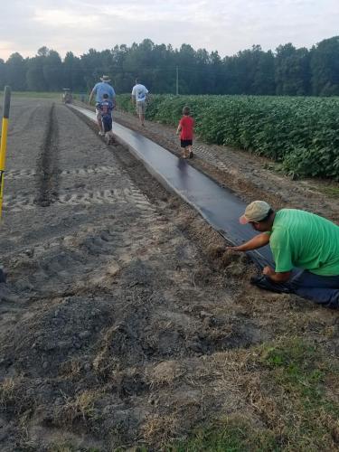 21751860_1445424485506075_6702103751954159884_n