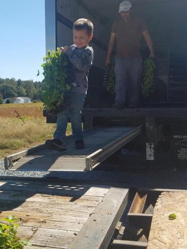 22519628_1472146876167169_4017141843332679445_n