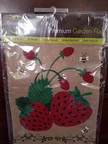 27336330_1572143529500836_4146904628976790684_n