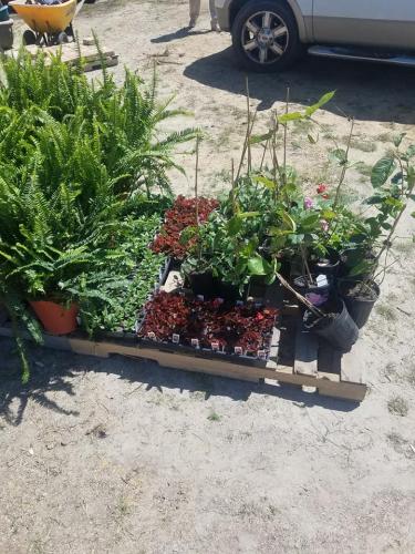 30441151_1642542739127581_8664731851186765824_n