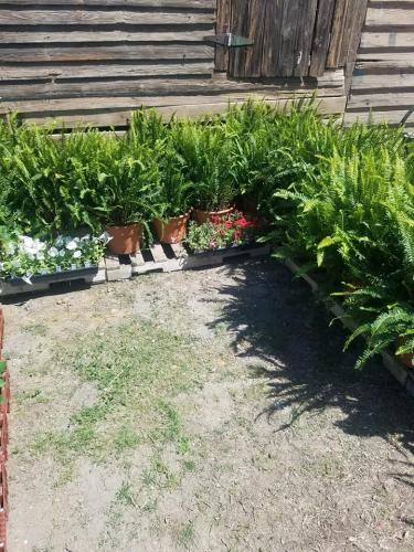 30515752_1642542465794275_8692017988871651328_n