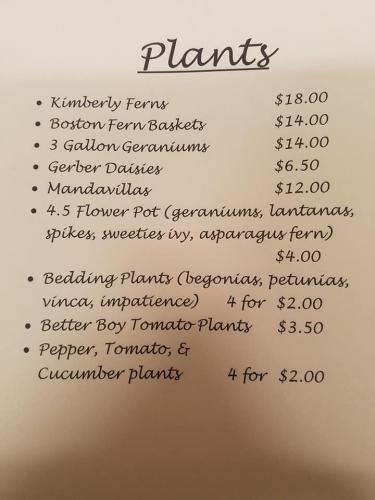 30581570_1642542769127578_2301938566114050048_n