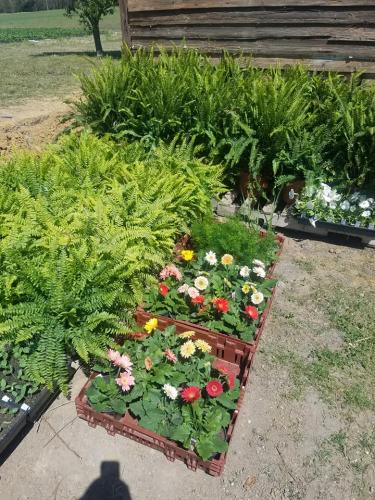 30594897_1642542545794267_7847812806446415872_n