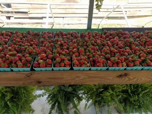 30723774_1653226048059250_1831525899288182784_n