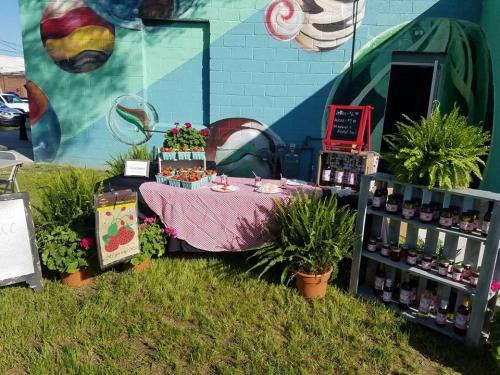 30740967_1650667258315129_4806617618872008704_n