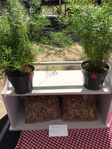 30762813_1655119237869931_5792946902664216576_n