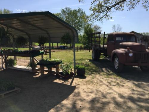 31069008_1655119094536612_8102317256848965632_n