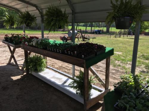 31073273_1655119097869945_6436444625510072320_n