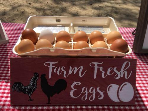 31100543_1655119227869932_8752594284923846656_n