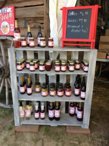 31113552_1655119221203266_5671374739499646976_n