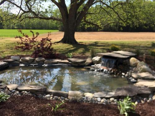 31138121_1655118777869977_8840627782913359872_n