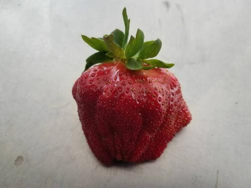 31277499_1659395237442331_2167998378900717568_n