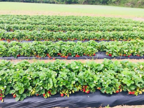 31423807_1660502063998315_1650746430832246784_n