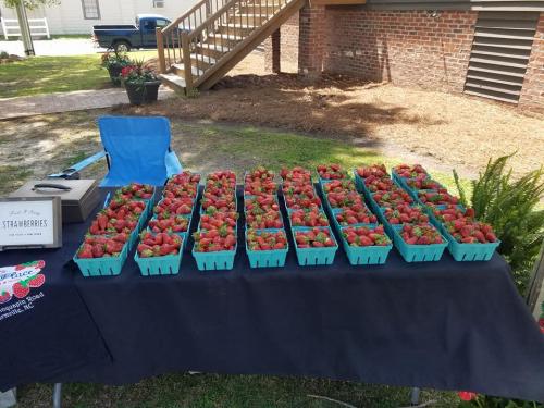 31434939_1662368020478386_3716067251380551680_n