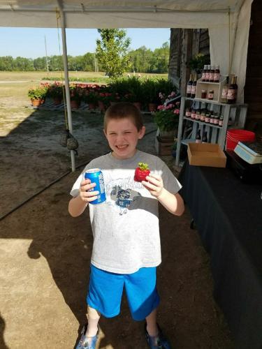 31510480_1662425310472657_7303235967203147776_n