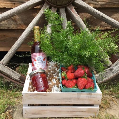 31925167_1669622976419557_672734750640701440_n