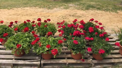 31952991_1669622909752897_7158420248486477824_n