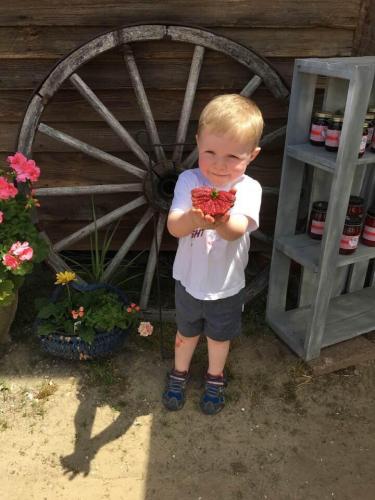 31956588_1669943456387509_4730691998762139648_n