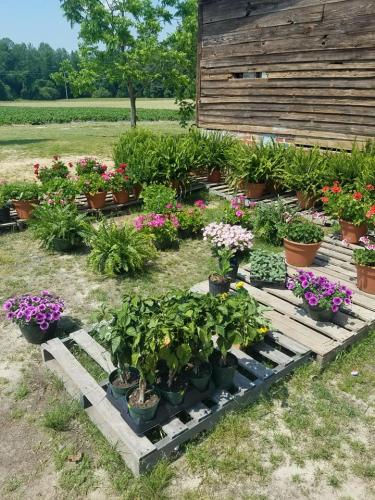 32387136_1677733855608469_6146874893871874048_n