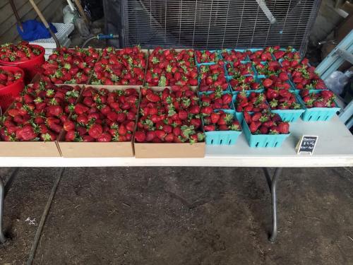 32468062_1677733958941792_4673999048930230272_n