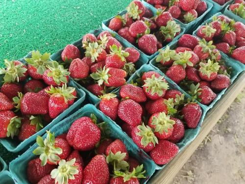 32742011_1683336785048176_2735185253135024128_n