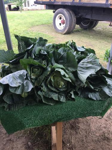 33200357_1687224211326100_154961591110991872_n