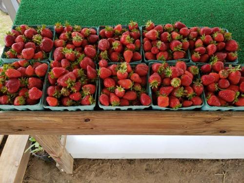 33493705_1690210584360796_7073280192654868480_n