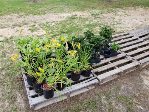 33500808_1690210524360802_3422045060290576384_n