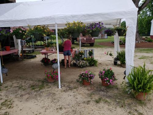 33526936_1690210404360814_351815906680111104_n