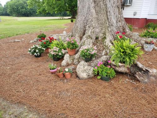 33619112_1690210357694152_906868085258977280_n