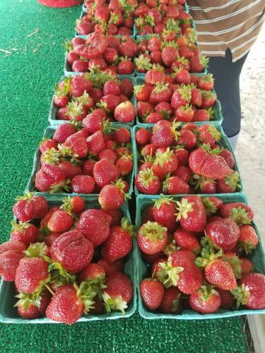 33965000_1694261103955744_7657627196403482624_n