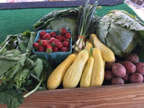 34791255_1702648919783629_7177918708520583168_n