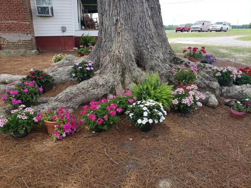 34813373_1704919446223243_7978878131530366976_n