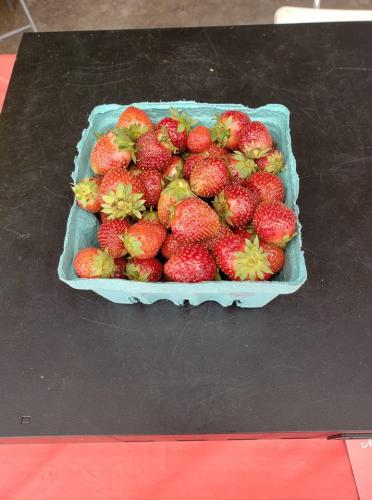 34825398_1705356579512863_2674585497971458048_n