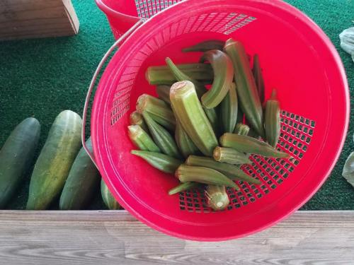 35306053_1712255602156294_4784008872371159040_n