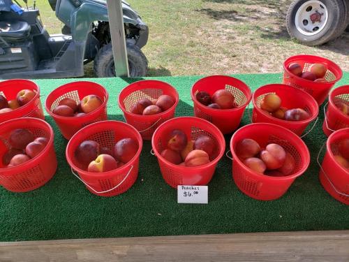 36536857_1741033779278476_4547686981332631552_n