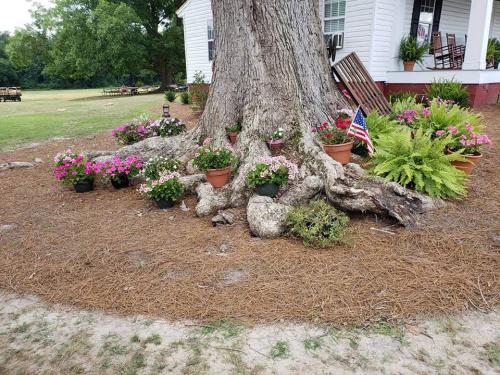 36572004_1741184935930027_6952641055300780032_n