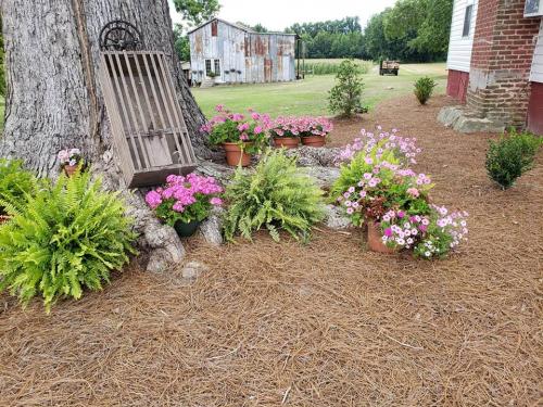 36592308_1741185109263343_4557905889645821952_n