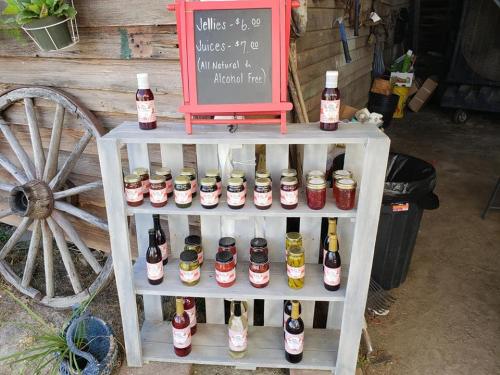 36599613_1741033602611827_3595102589865164800_n