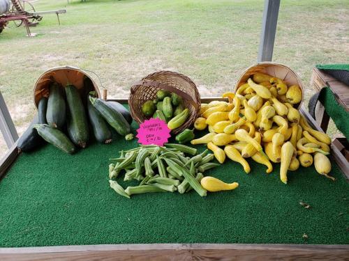 36615704_1741184722596715_632099923319324672_n