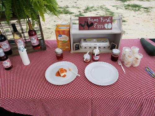 36630559_1741184609263393_813375443318079488_n