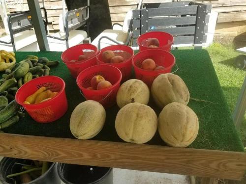 37797093_1781512225230631_2714715636570783744_n