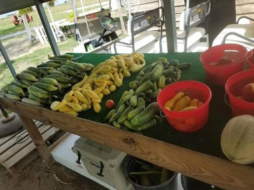 37821842_1781512138563973_4408957630706352128_n