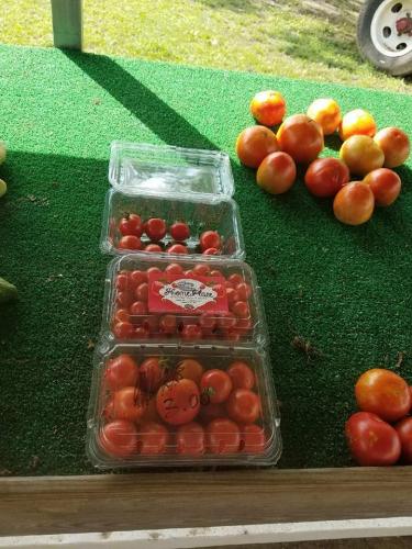 37873288_1781512048563982_8157484647182237696_n