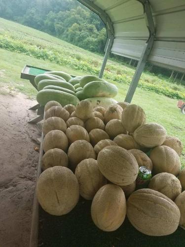 38264078_1789408231107697_8129905455288811520_n