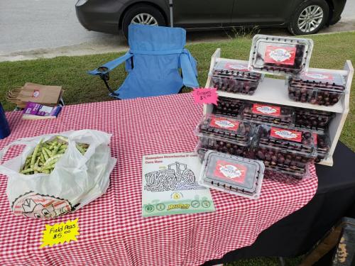 39813880_1825213114193875_6958703534783070208_n