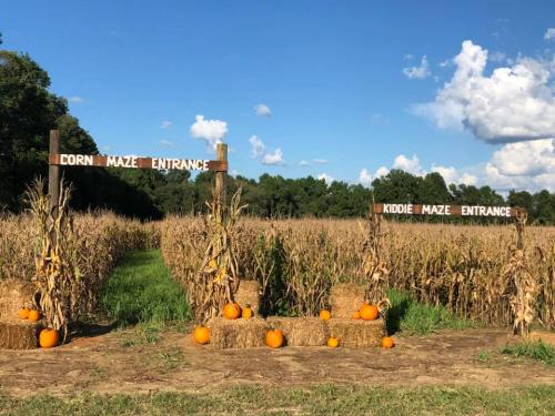 40758214_1843005112414675_6565365108350910464_n